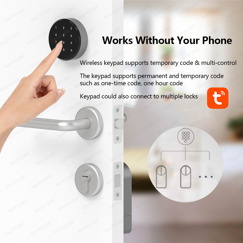 RAYKUBE A1 Pro Tuya BEL スマートドア - Smart Door Lock Wifi のレビューと価格